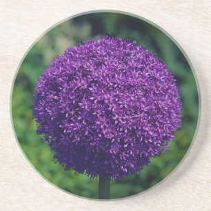 Porta-copos Estética da Flor do Allium Puro Perfeito