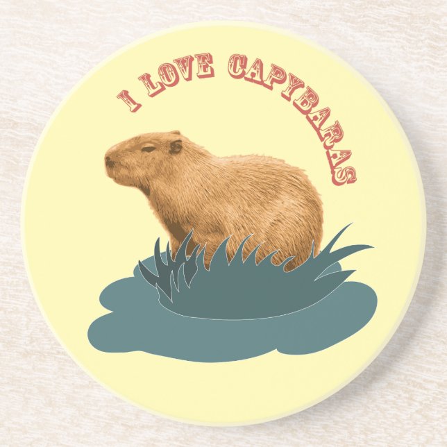 Porta-copos Eu Amo Capivaras Amante de Capivara Fofa (Frente)