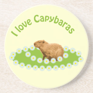 Porta-copos Eu amo Portas copos de Capybaras