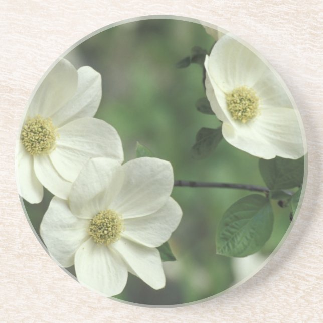 Porta-copos EUA, Califórnia, Yosemite NP, junto com Merced (Frente)