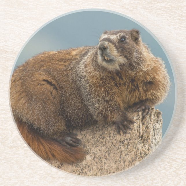 Porta-copos EUA, Colorado, San Juan Mountains 2 (Frente)