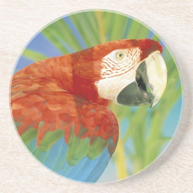 Porta-copos EUA, Havaí. Papagaio (Frente)