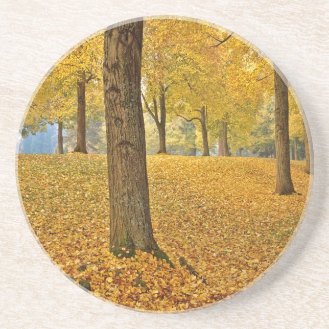 Porta-copos EUA, Oregon, Portland. Linden Trees Americanas (Frente)