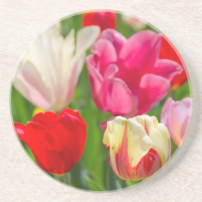 Porta-copos EUA, Tennessee, Nashville (Frente)