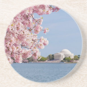 Porta-copos EUA, Washington DC, árvore de cereja