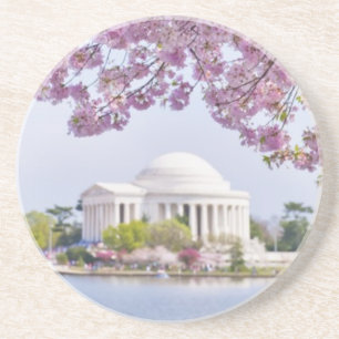 Porta-copos EUA, Washington DC, árvore de cereja na flor
