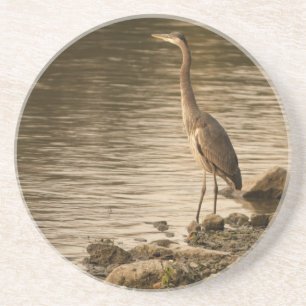Porta-copos Excelente Blue Heron