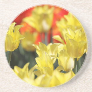 Porta-copos Falln Floral Summer Glow