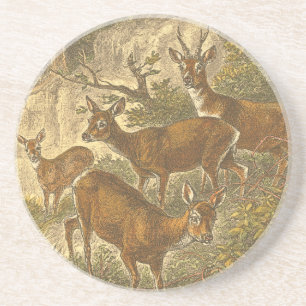 Porta-copos Família de Roe - Deers em Floresta
