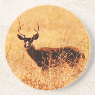 Porta-copos Fanfarrão de Blacktail