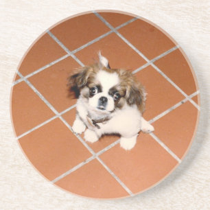 Porta-copos Filhote de cachorro adorável de Peke