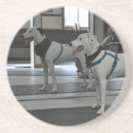 Porta-copos Filhote de cachorro no espelho