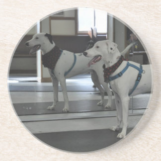 Porta-copos Filhote de cachorro no espelho