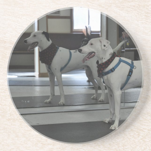 Porta-copos Filhote de cachorro no espelho (Frente)