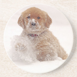 Porta-copos Filhote de Retriever Dourado na Neve