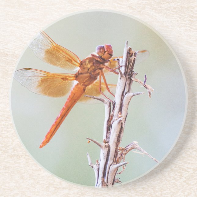 Porta-copos Flame Skimmer Dragonfly em Agave (Frente)