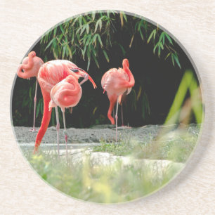 Porta-copos flamingo