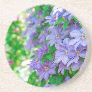 Porta-copos Flor Clematis roxa