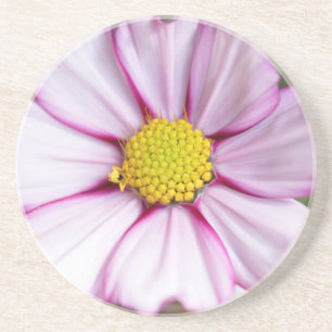 Porta-copos Flor de Cosmos (bidens formosa)