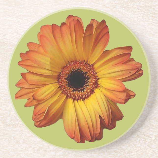Porta-copos Flor de gerbera-laranja-ensolarada (Frente)