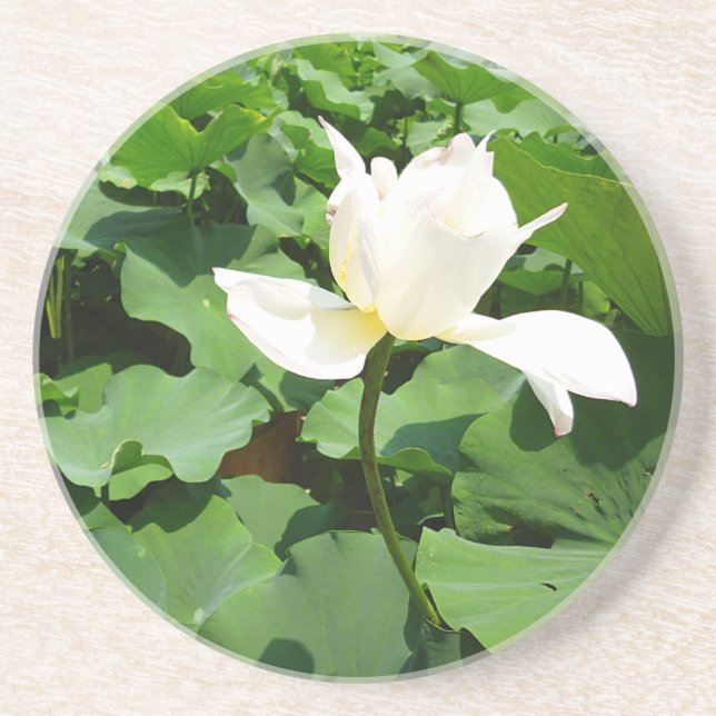 Porta-copos Flor de Lotus Branco (Frente)