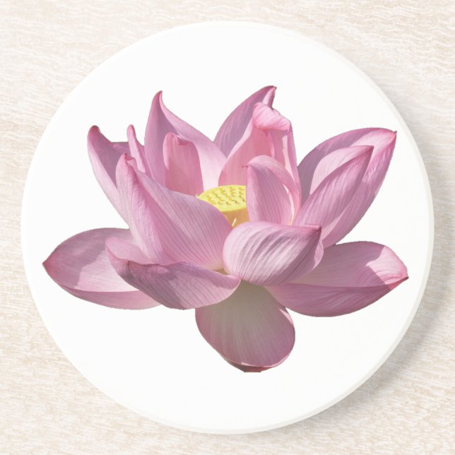 Porta-copos Flor de Lótus Rosa IV (Frente)