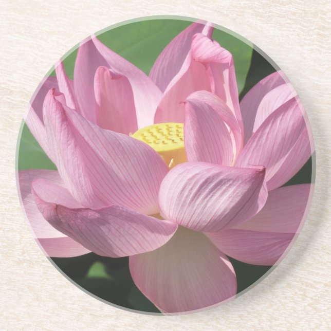 Porta-copos Flor de Lotus Rosa IV (Frente)