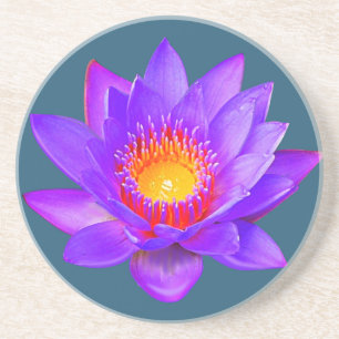 Porta-copos Flor de Lótus Violeta em Pires Azul