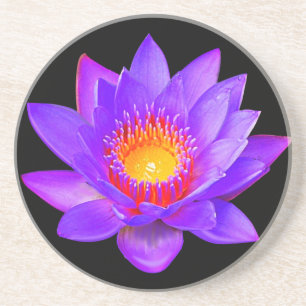 Porta-copos Flor de Lótus Violeta em Preto