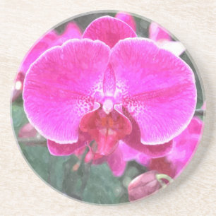 Porta-copos Flor de orquídea rosa, fotografia floral