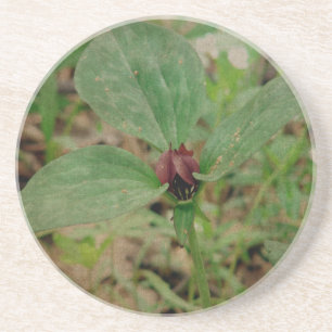 Porta-copos Flor de trilho