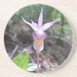 Porta-copos Flor Orquídea Fairyslipper