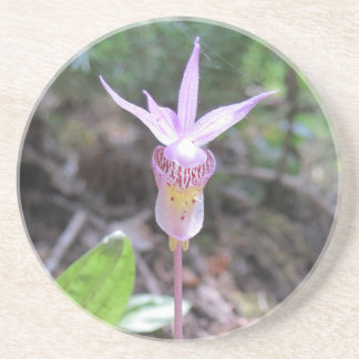 Porta-copos Flor Orquídea Fairyslipper