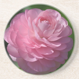 Porta-copos Flor ranóculo rosa
