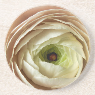 Porta-copos Flor Ranunculus