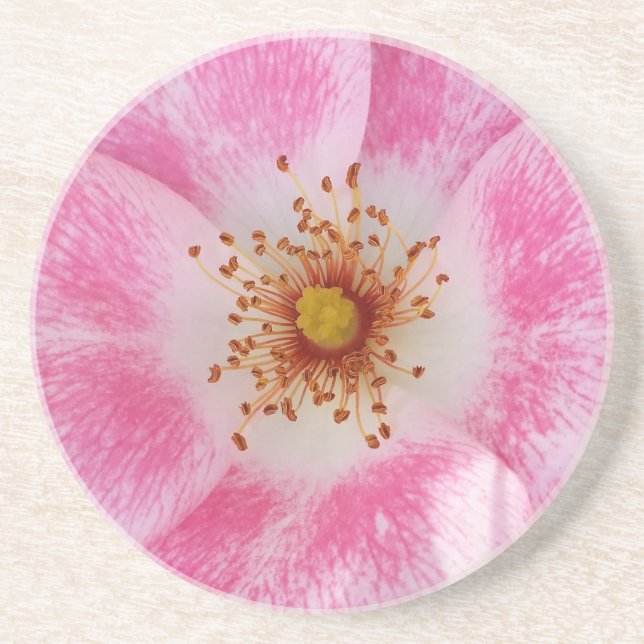 Porta-copos flor rosa na sombra (Frente)