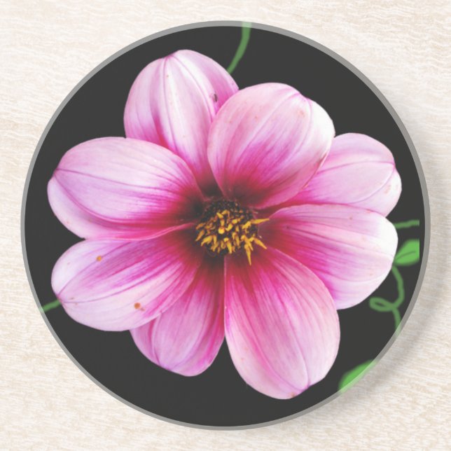 Porta-copos Flor rosa pálido botânica da dália em alguma cor (Frente)