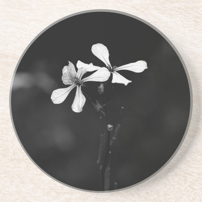 Porta-copos floral preto e branco minimalista (Frente)