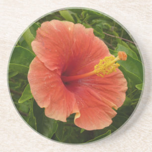 Porta-copos Floral Tropical de Laranja Hibiscus