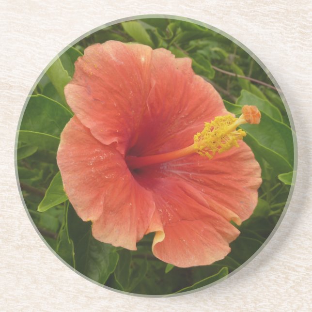 Porta-copos Floral Tropical de Laranja Hibiscus (Frente)