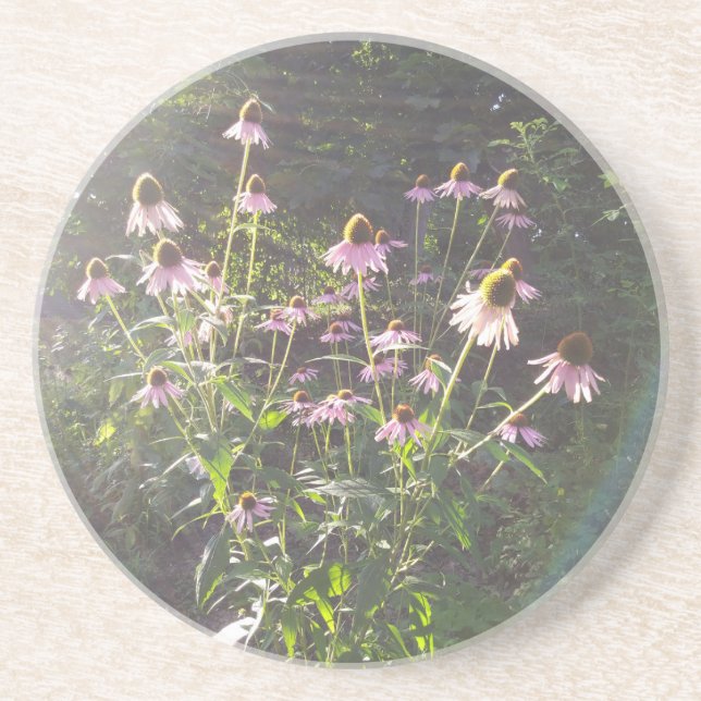 Porta-copos Flores de Echinacea ao Sol (Frente)
