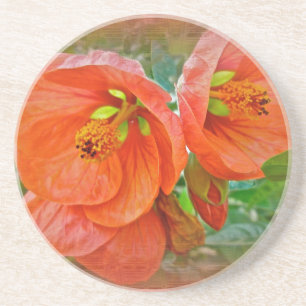 Porta-copos Flores de Hibisco Laranja