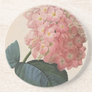 Porta-copos Flores de Jardim Antigo, Hortênsia Hidrangea Rosa