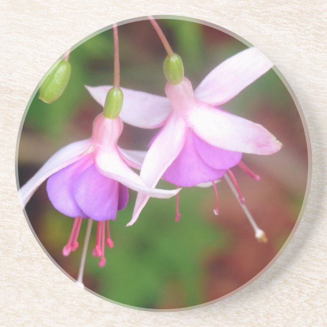 Porta-copos Flores Fuschia (Frente)