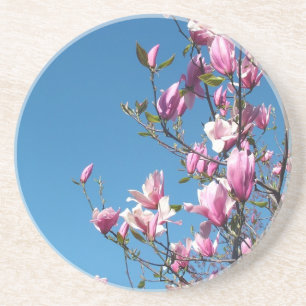 Porta-copos flores roxas e rosadas, magnólia, céu azul