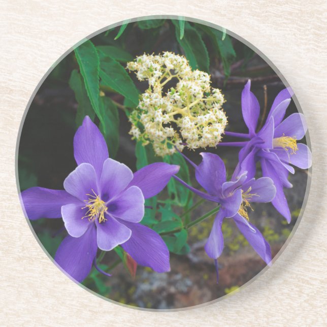 Porta-copos Flores Silvestres Mutantes Columbine (Frente)