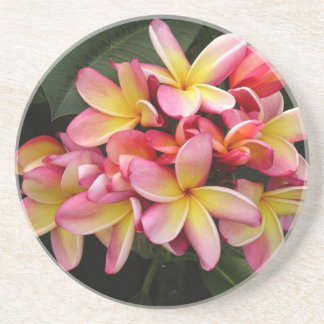 Porta-copos Flores Tropicais de Plumeria Rosa e Amarelo