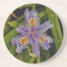 Porta-copos florescer em roxo 