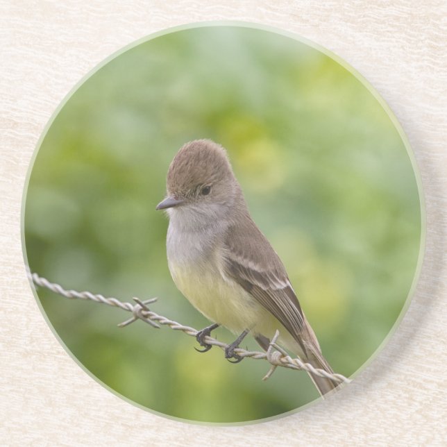 Porta-copos Flycatcher (Frente)