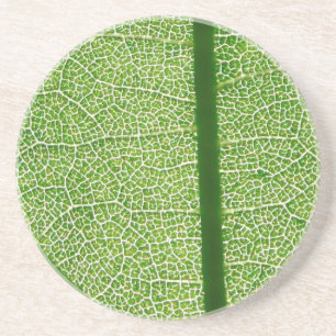 Porta-copos Folha Verde Fechar